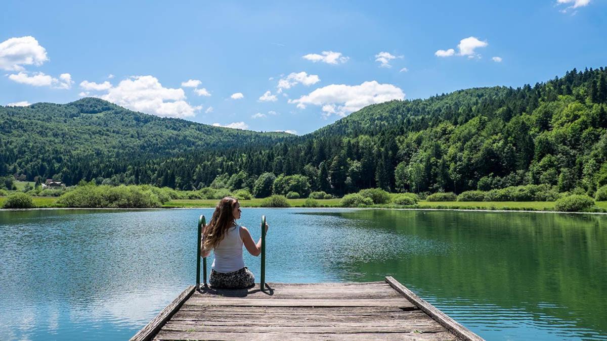 Apartma Juha - Breg pri Borovnici Bagian luar foto