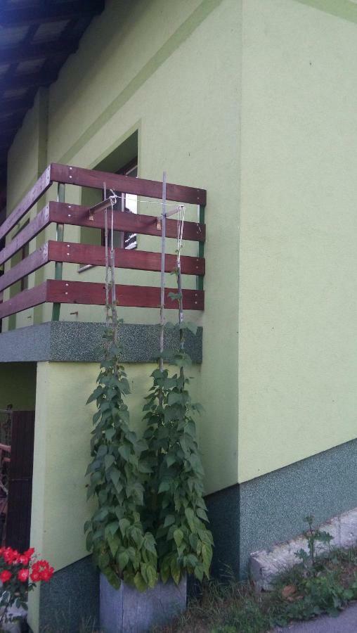 Apartma Juha - Breg pri Borovnici Bagian luar foto