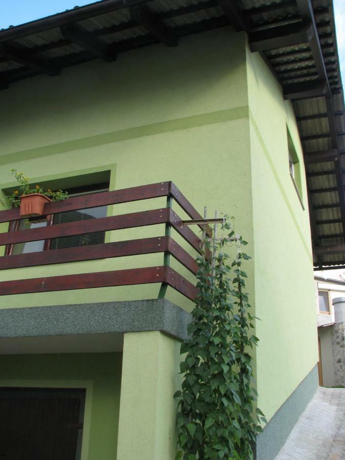 Apartma Juha - Breg pri Borovnici Bagian luar foto